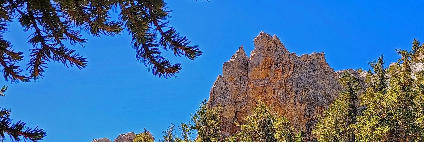 Beautiful Limestone Formations Form Backdrop to Bristlecone Pines | Deer Creek North Fork Canyon | Mt Charleston Wilderness, Nevada