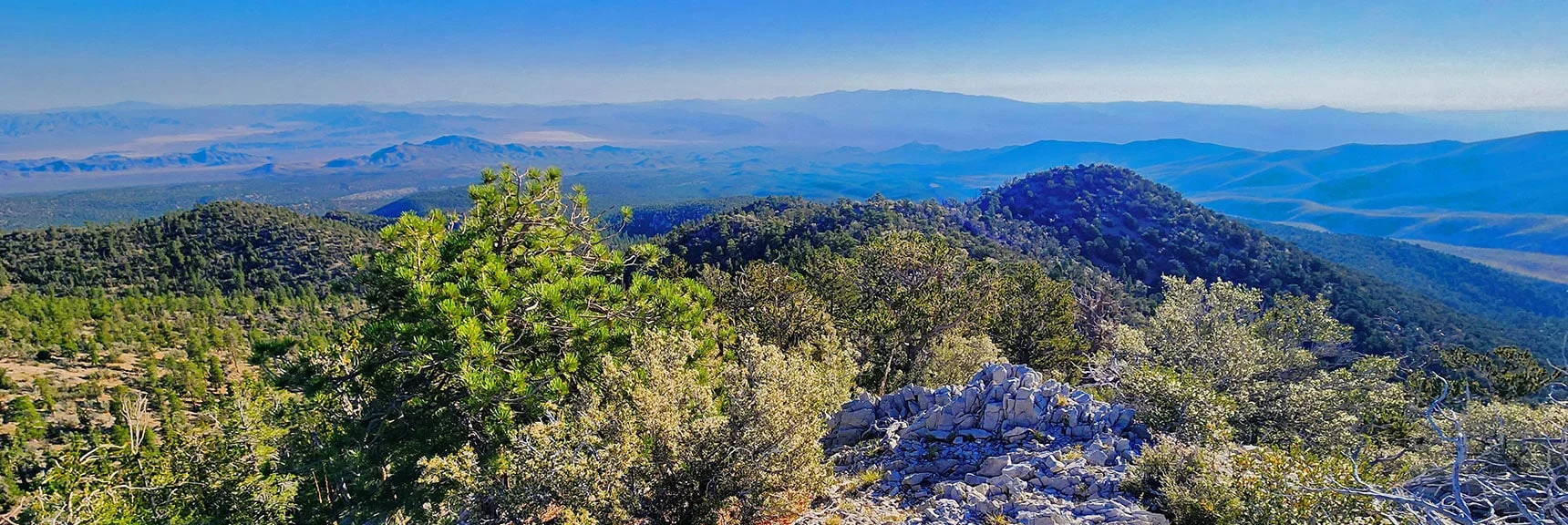 The Early Gully Ascent Reveals Best Views, But Takes Longer. | Mummy’s Forehead Summit | Mt Charleston Wilderness, Nevada