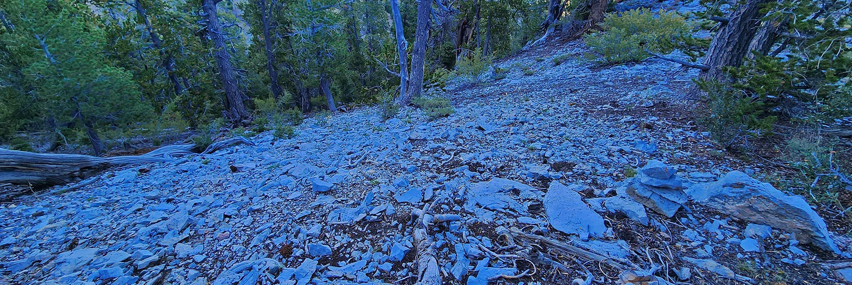 Watch for Cairn Marking Descent Pathway from Ridge to Rd. 092A Below | Deer Creek North Fork Canyon | Mt Charleston Wilderness, Nevada