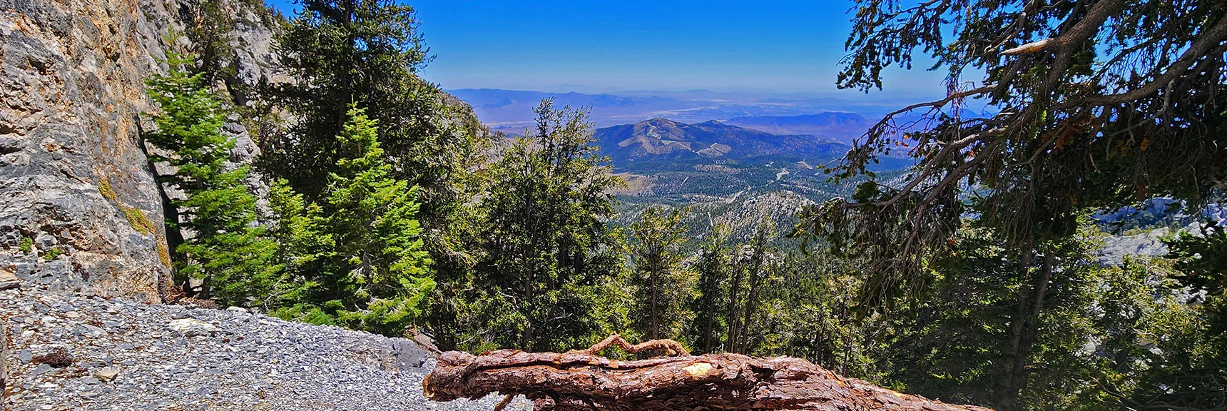 View Majestic Bristlecones & Sculpted Limestone Formations in This Remote Canyon | Deer Creek North Fork Canyon | Mt Charleston Wilderness, Nevada