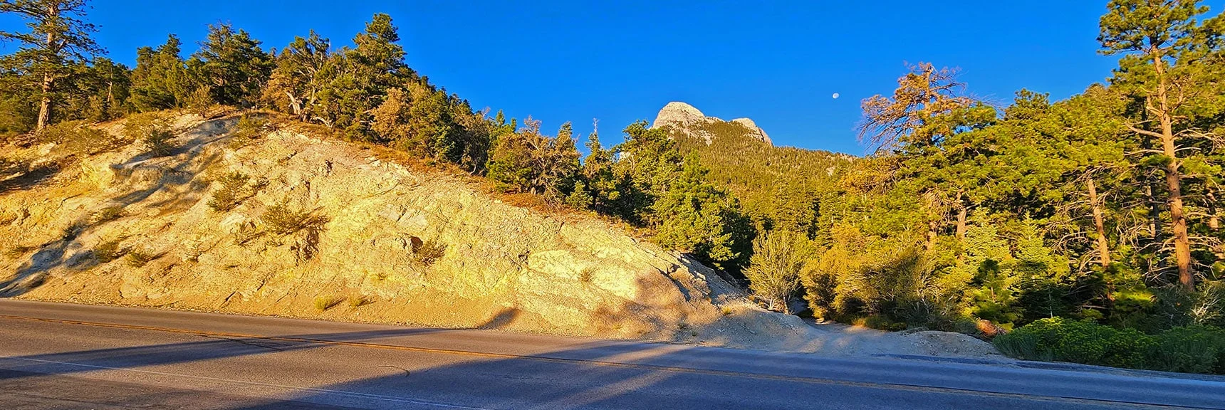 From Deer Creek Catch Pen Trailhead, Will Round Mummy's Nose on Left | Mummy’s Forehead Summit | Mt Charleston Wilderness, Nevada