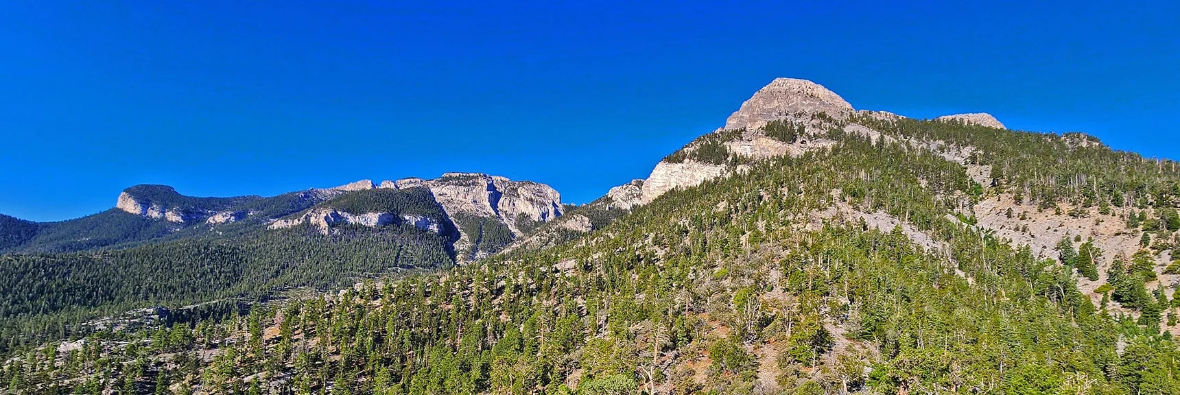 Ascending East Ridgeline of 7-Mile Canyon Toward Mummy's Nose | Mummy’s Forehead Summit | Mt Charleston Wilderness, Nevada