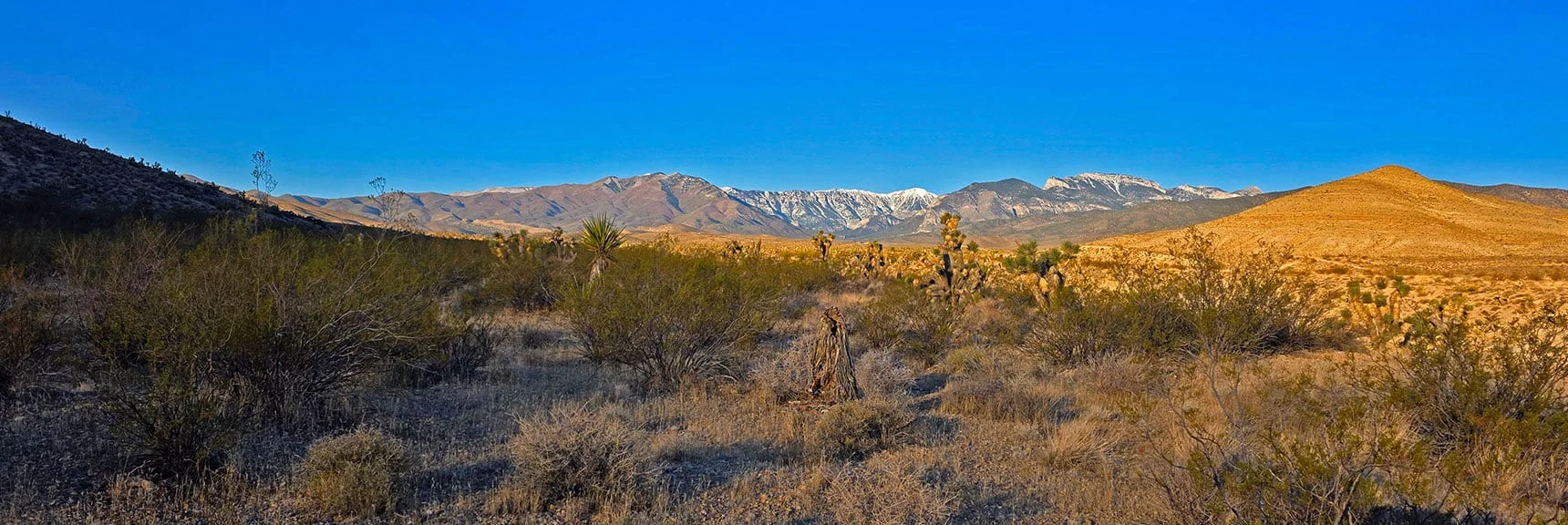 Rounding Low Ridge Base, Look Back to View of Mt. Charleston Wilderness | East La Madre Peak | La Madre Mountains Wilderness, Nevada