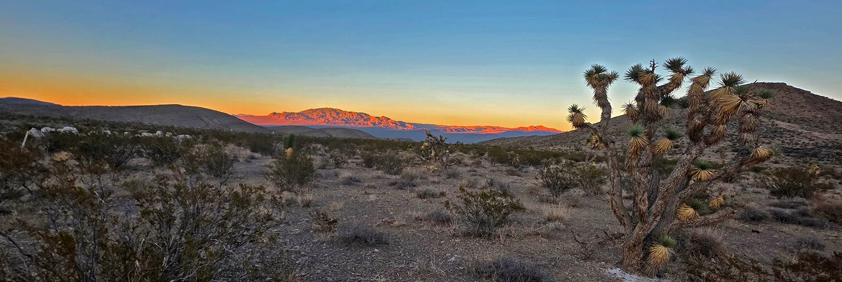 Final Sunset View of Sheep Range from Near Kyle Canyon Rd. Start Point | East La Madre Peak | La Madre Mountains Wilderness, Nevada