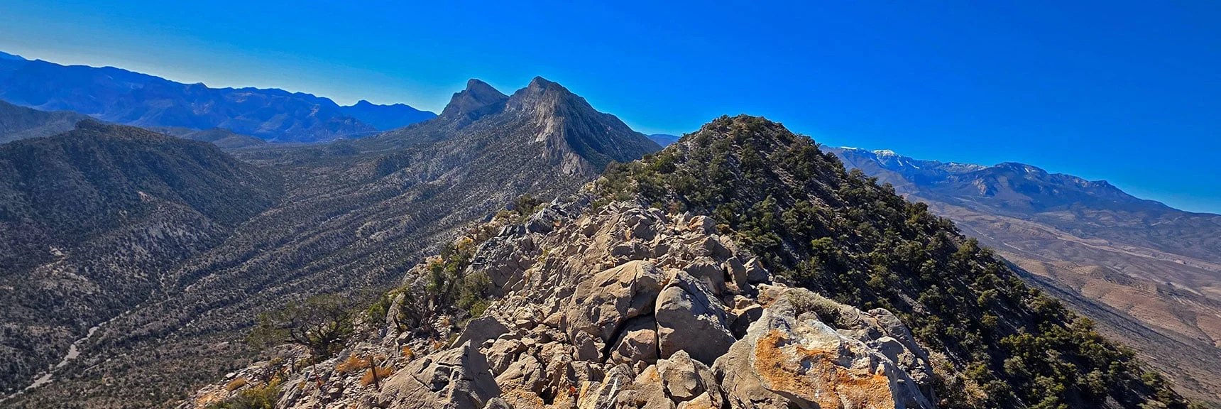 Traverse the East End of the La Madre Mountains Ridgeline! | East La Madre Peak | La Madre Mountains Wilderness, Nevada