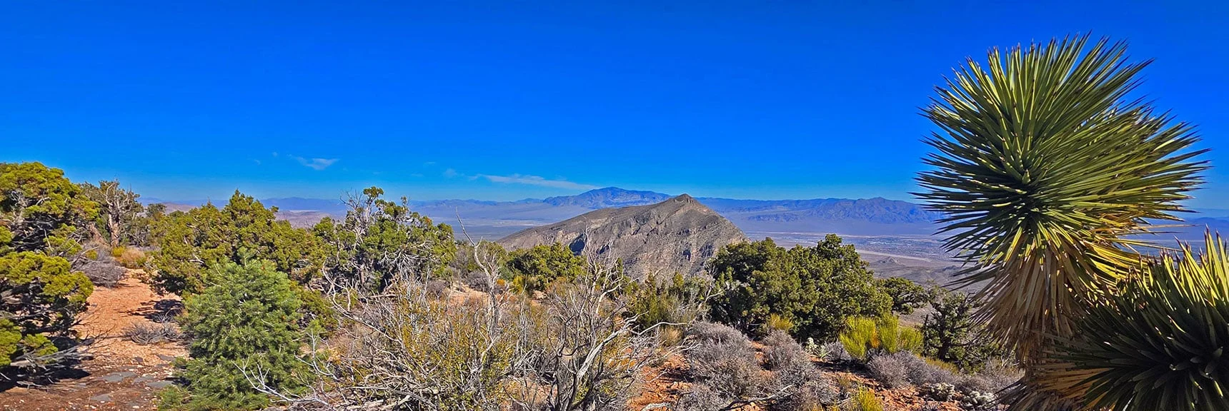 Beautiful Plateau, Camping Possibilities, Peak 6080 & Sheep Range Beyond. | East La Madre Peak | La Madre Mountains Wilderness, Nevada