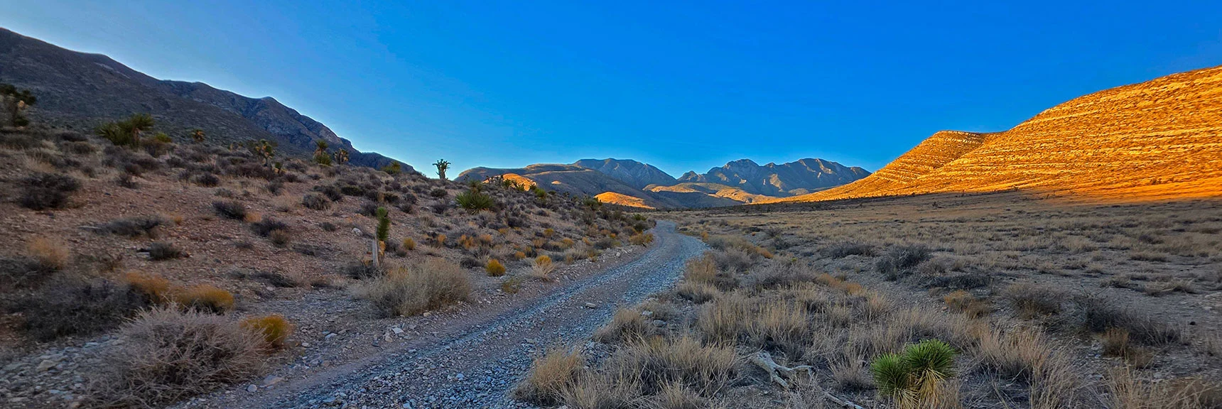 Head Up Road in Next Valley Toward Now Visible La Madre Ridgeline. | East La Madre Peak | La Madre Mountains Wilderness, Nevada