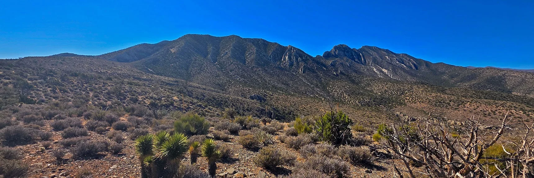 Long East La Madre Peak (left), Then Saddle, Fernande & La Madre Peaks | East La Madre Peak | La Madre Mountains Wilderness, Nevada