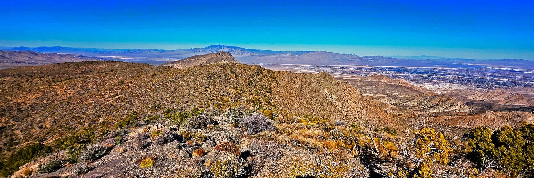 Back to Gentle Hills at Base of Steeper Summit Approach | East La Madre Peak | La Madre Mountains Wilderness, Nevada