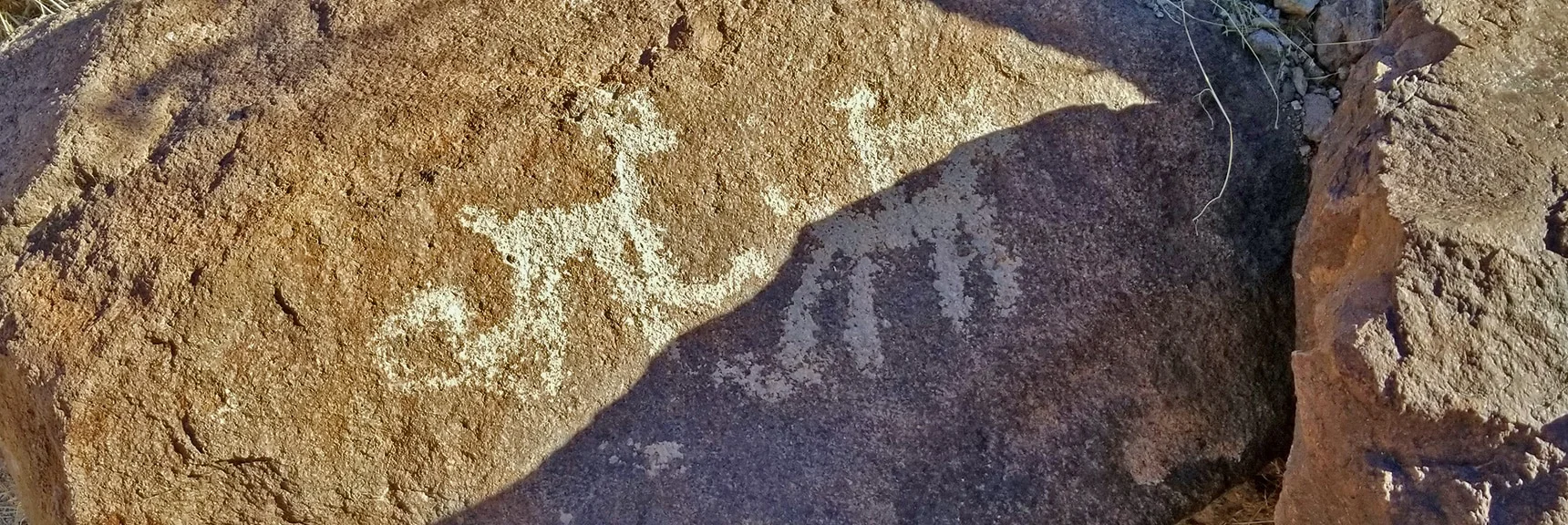 Petroglyphs in Petroglyph Canyon | Sloan Canyon National Conservation Area, Nevada