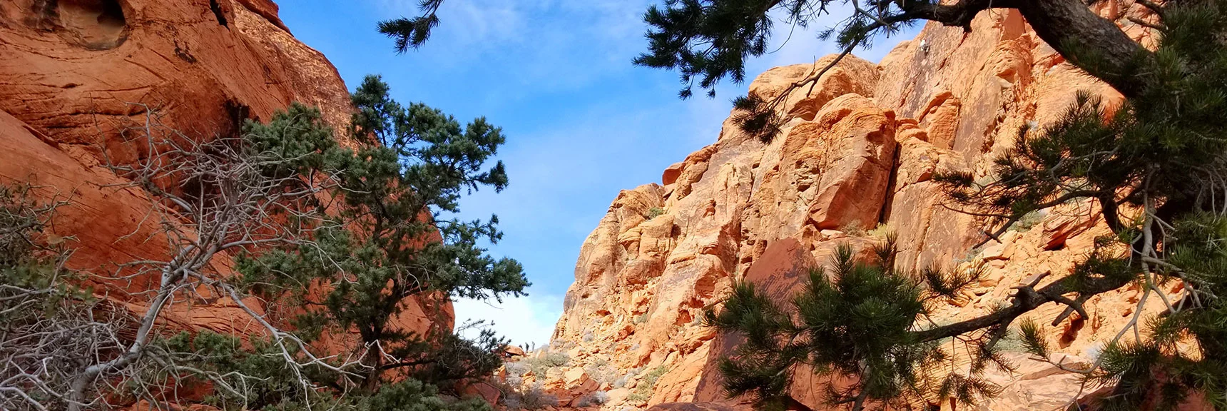 Grand Circle Pass on East Side of Calico Hills Looking Toward Calico Basin, Nevada