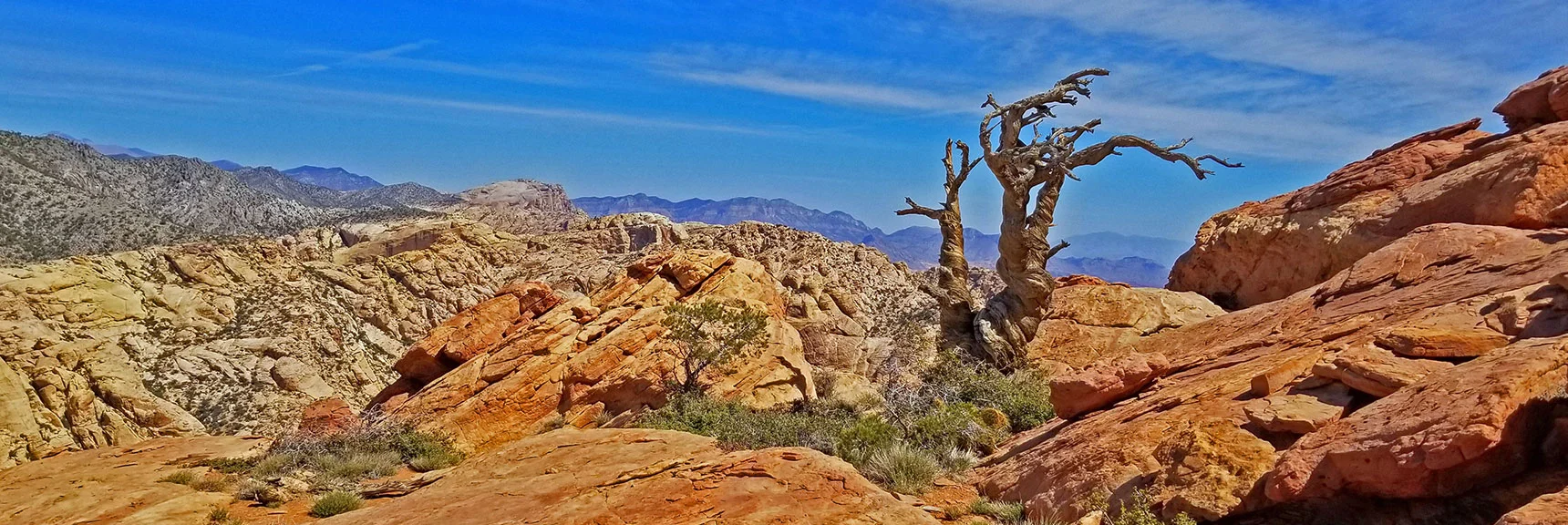 Arrival at the Summit: Mt. Wilson and La Madre Mts Straight Ahead | Windy Peak | Rainbow Mountain Wilderness, Nevada