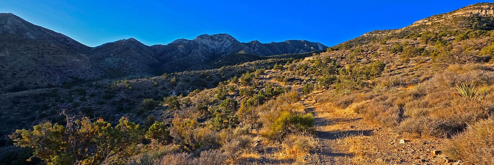 Old Road Ends in a Brief Trail. Angle Around Left Base of Ridges Ahead. | La Madre East Ridge Approaches | La Madre Mountains Wilderness, Nevada