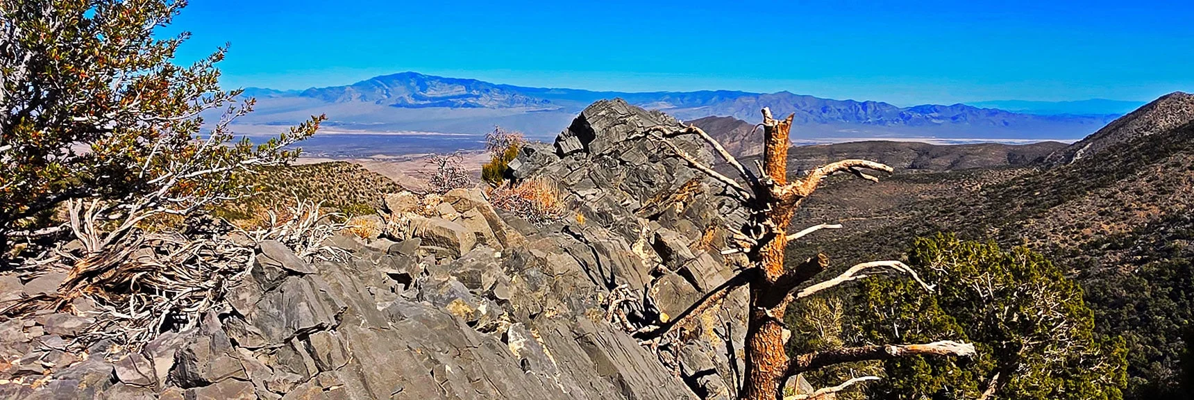 Devil's Ladder Quickly turns Rocky Limestone with Some Class 3 Scrambles | La Madre East Ridge Approaches | La Madre Mountains Wilderness, Nevada