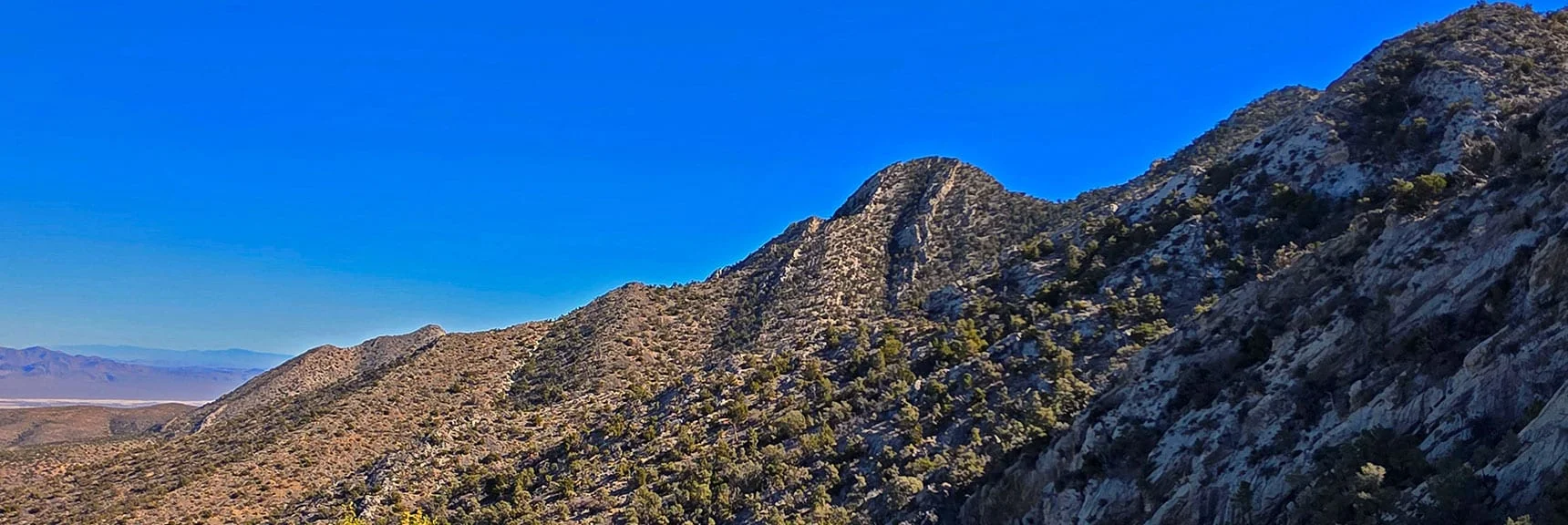Peak 7680 (left). East La Madre Peak at Distant East Edge of Ridgeline Beyond | La Madre East Ridge Approaches | La Madre Mountains Wilderness, Nevada