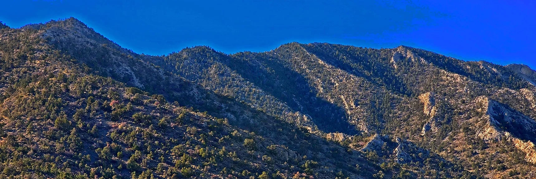 Right to Left: Devil's Ladder to La Madre Mt.; Peak 7680 | La Madre East Ridge Approaches | La Madre Mountains Wilderness, Nevada
