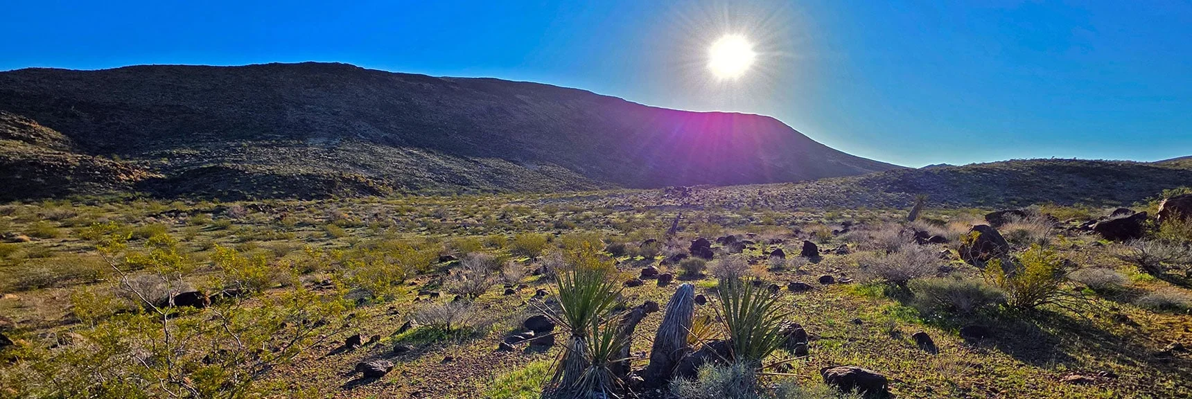 Wash Entrance to Right of Overlook Mesa. Morning Sun Blinds Approach Route | Lonesome Wash Upper Entrance | Eldorado Wilderness, Nevada