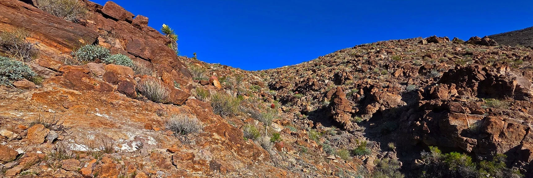 View Up Wash Entrance Channel Toward Its Summit | Lonesome Wash Upper Entrance | Eldorado Wilderness, Nevada