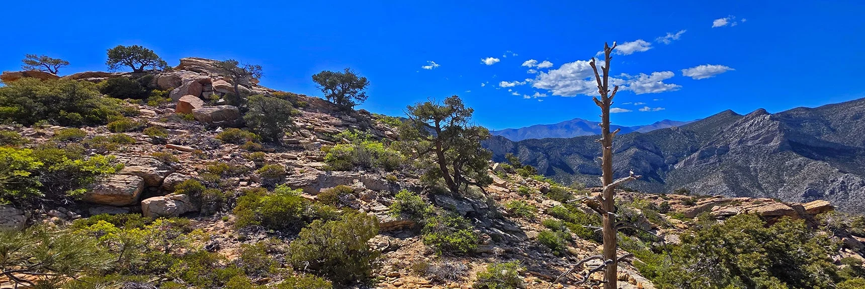 Blue Diamond Hill (R), Red Rock Canyon (Middle), Indecision Peak (L). | Monument Peak Summit | Rainbow Mountain Wilderness, Nevada