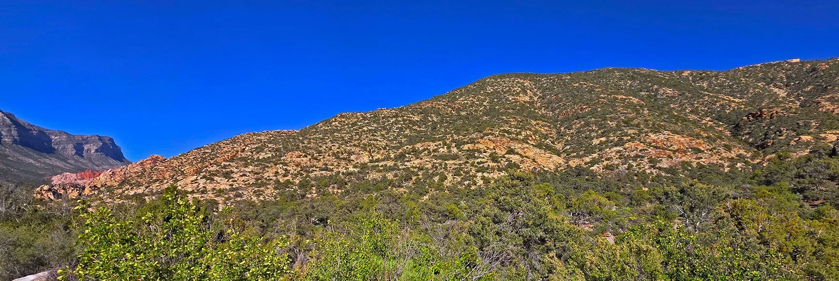 Blue Diamond Hill (R), Red Rock Canyon (Middle), Indecision Peak (L). | Monument Peak Summit | Rainbow Mountain Wilderness, Nevada