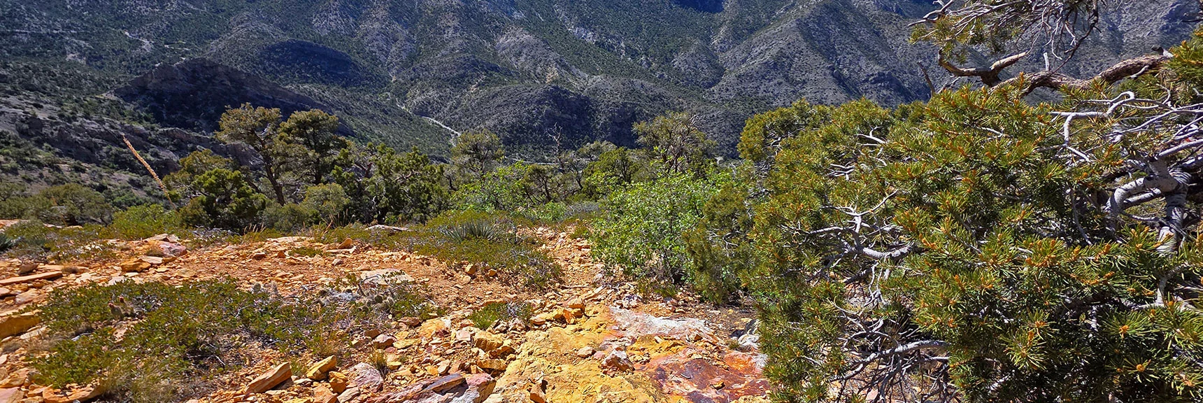 Blue Diamond Hill (R), Red Rock Canyon (Middle), Indecision Peak (L). | Monument Peak Summit | Rainbow Mountain Wilderness, Nevada
