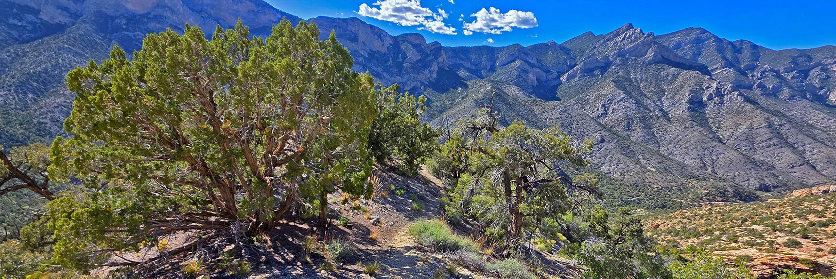 Blue Diamond Hill (R), Red Rock Canyon (Middle), Indecision Peak (L). | Monument Peak Summit | Rainbow Mountain Wilderness, Nevada