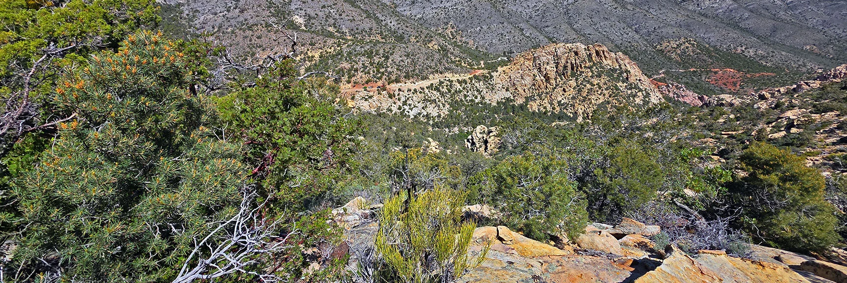 Blue Diamond Hill (R), Red Rock Canyon (Middle), Indecision Peak (L). | Monument Peak Summit | Rainbow Mountain Wilderness, Nevada