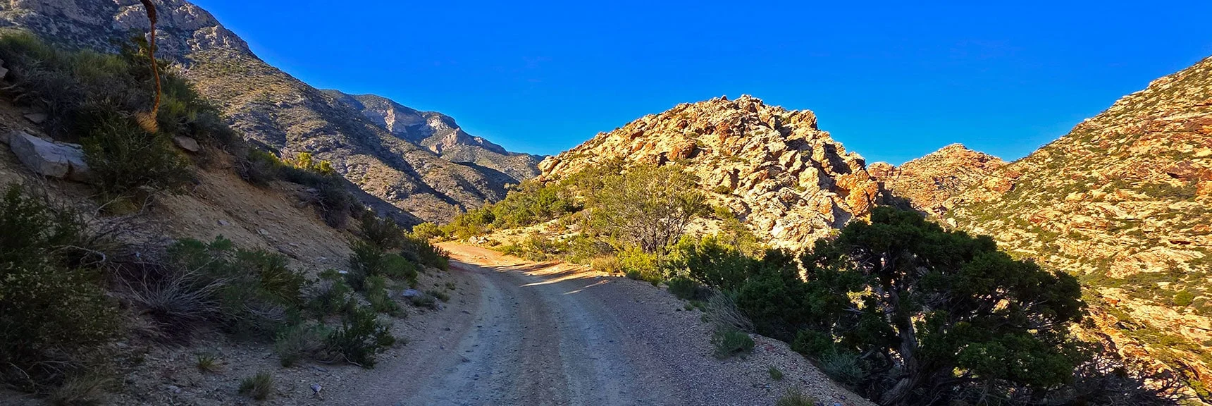 Blue Diamond Hill (R), Red Rock Canyon (Middle), Indecision Peak (L). | Monument Peak Summit | Rainbow Mountain Wilderness, Nevada