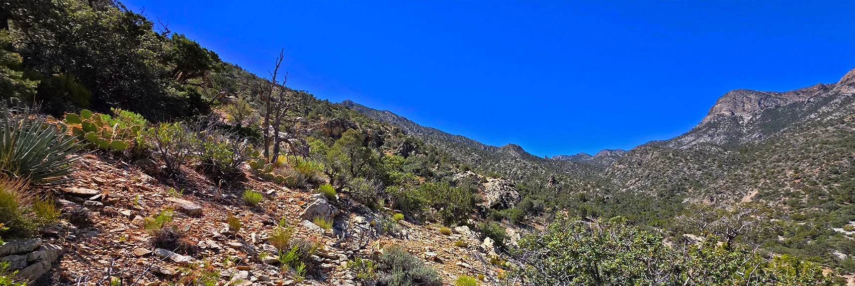 Blue Diamond Hill (R), Red Rock Canyon (Middle), Indecision Peak (L). | Monument Peak Summit | Rainbow Mountain Wilderness, Nevada