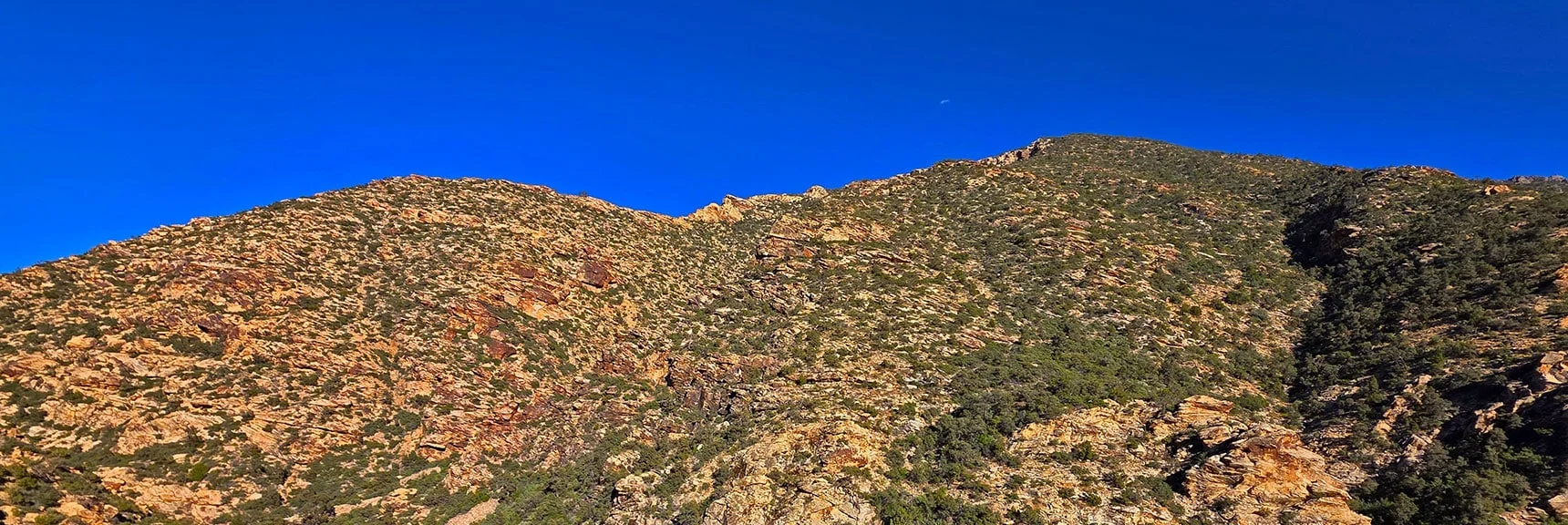 Blue Diamond Hill (R), Red Rock Canyon (Middle), Indecision Peak (L). | Monument Peak Summit | Rainbow Mountain Wilderness, Nevada