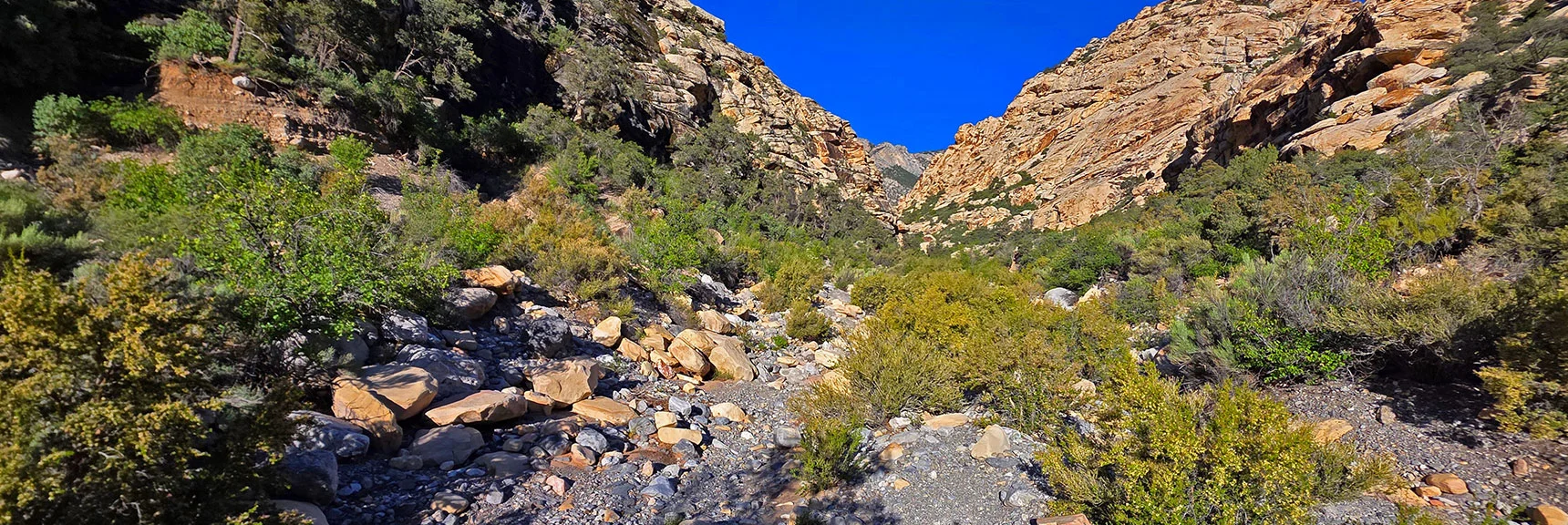Blue Diamond Hill (R), Red Rock Canyon (Middle), Indecision Peak (L). | Monument Peak Summit | Rainbow Mountain Wilderness, Nevada