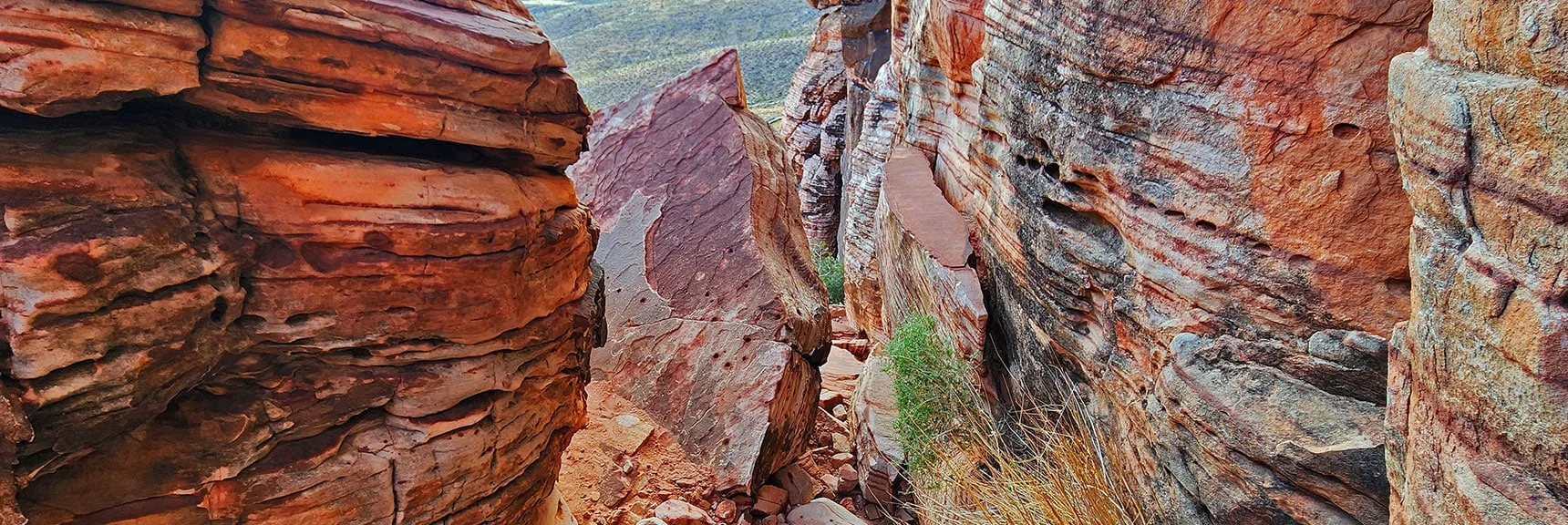 View Back Down the Grand Staircase Cliff Line | Grand Staircase | Calico Basin, Nevada