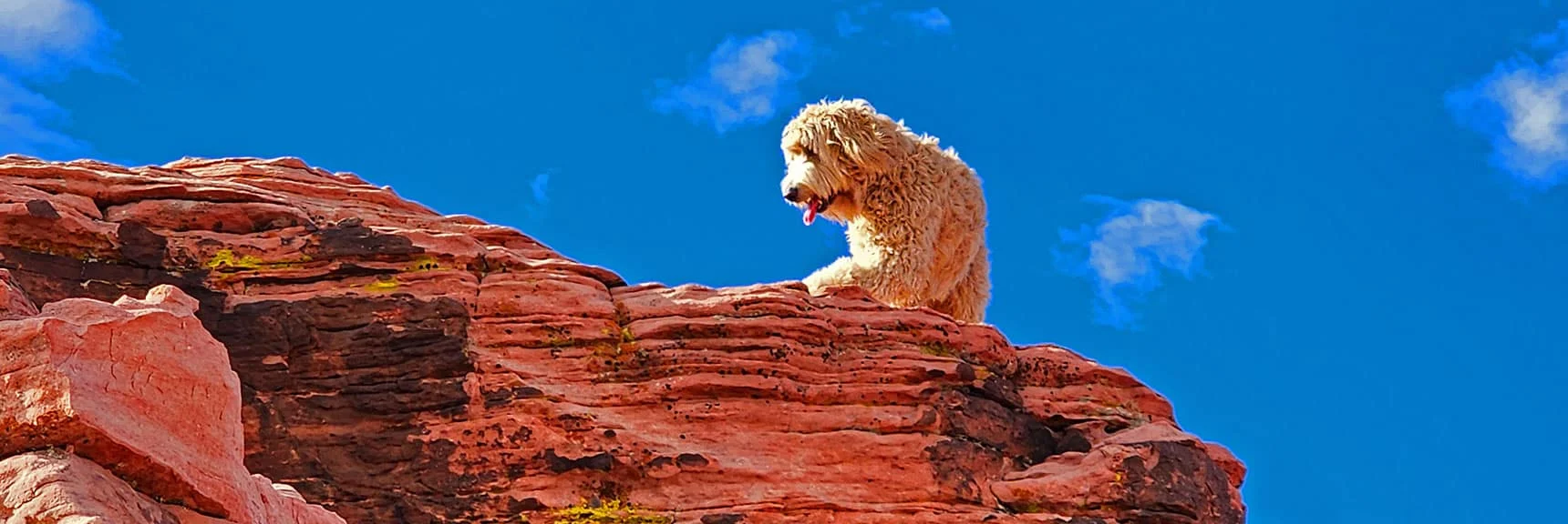 Actually, There Were Two! | Grand Staircase | Calico Basin, Nevada