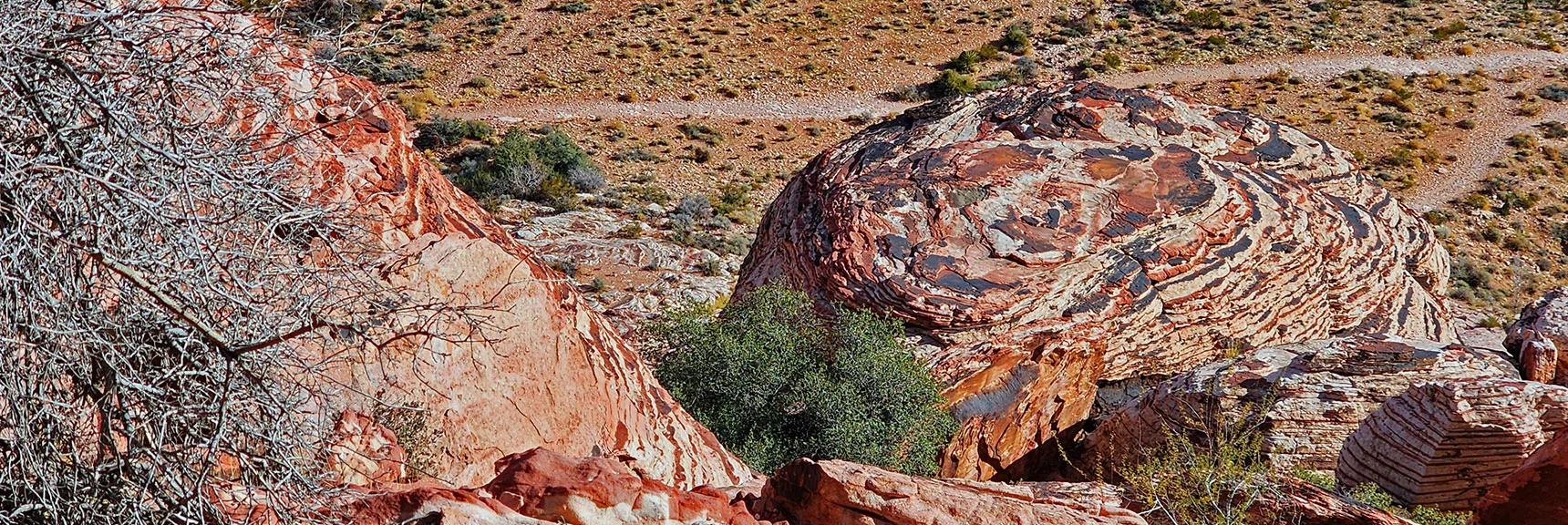 Beautiful Artistic Patterns Etched on Calico Hills Rocks, Cliffs and Ledges | Grand Staircase | Calico Basin, Nevada