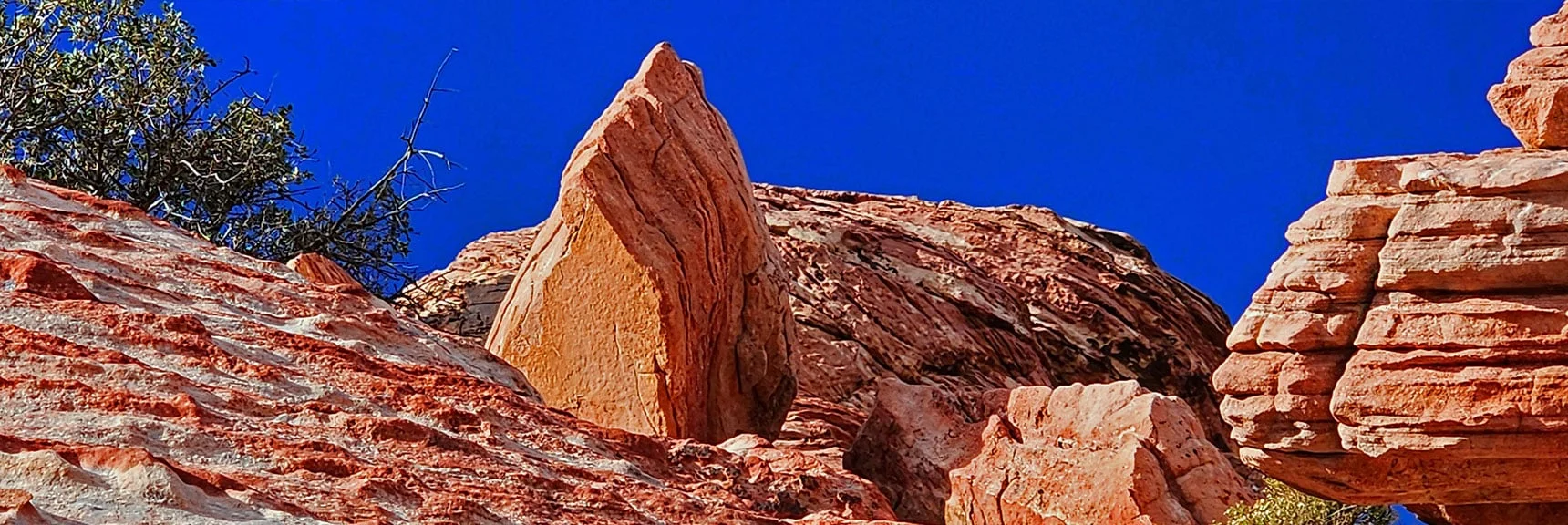 Countless Shapes and Designs | Grand Staircase | Calico Basin, Nevada
